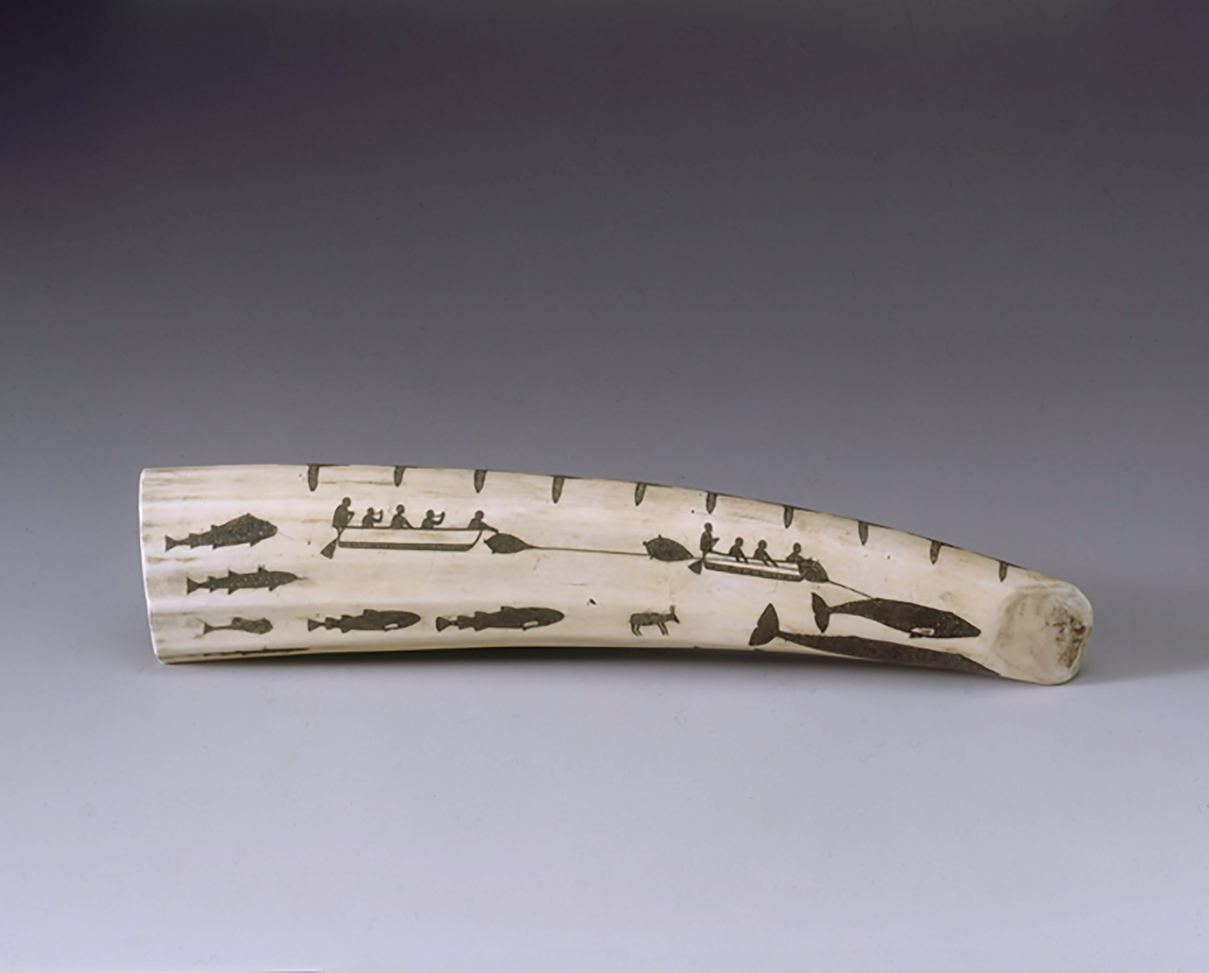 Tusk