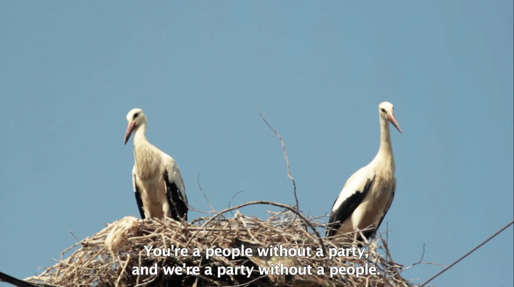 As Birds Flying