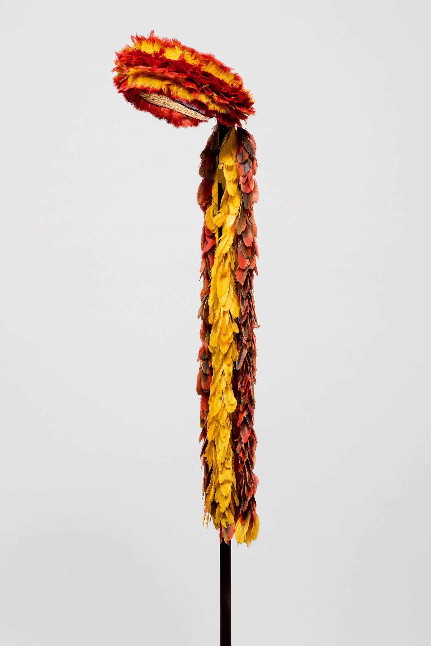 Feather headdress. Panará, Brazil. Before 1975.Duschl Coll., Inv. No. 189.313