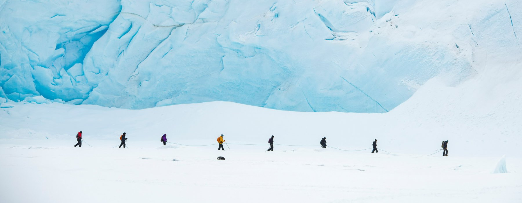Image showing Arctic excursion