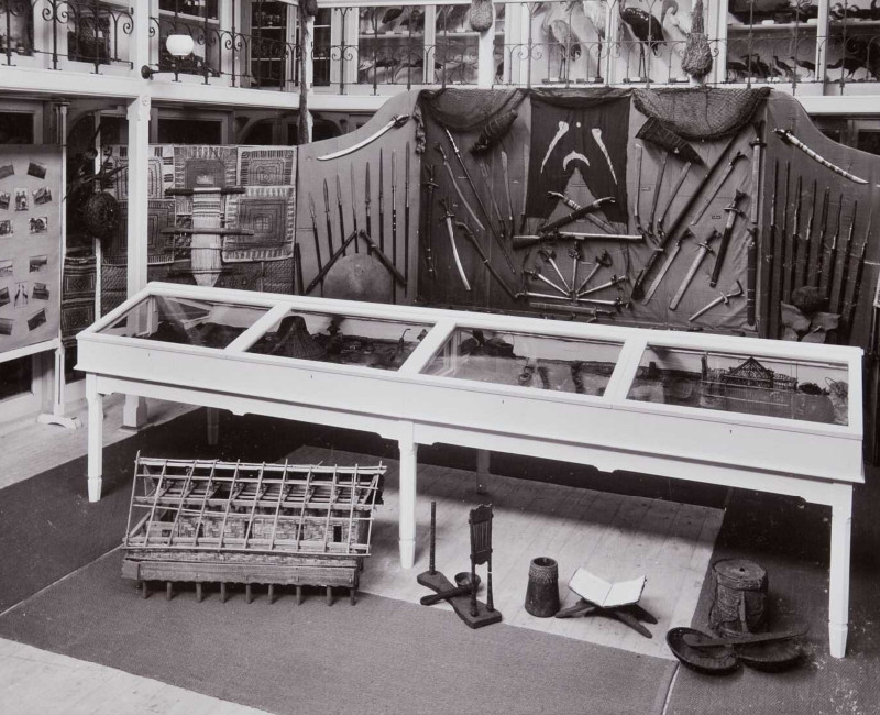 Collection Wereldmuseum