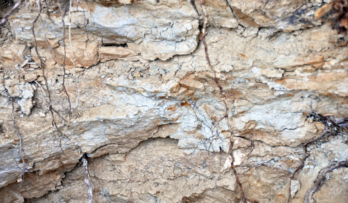 James St.John, Weathered claystones (Pekin Formation, Upper Triassic; Boren Clay Pit, Gulf, North Carolina, USA) 7
