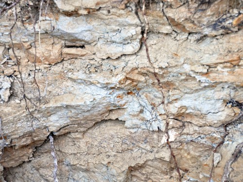James St.John, Weathered claystones (Pekin Formation, Upper Triassic; Boren Clay Pit, Gulf, North Carolina, USA) 7