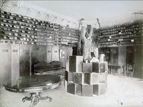Permanent display of the wood herbarium in the Colonial Museum, Haarlem, 1871–1923. 